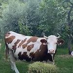 L'ape Fogliano (Cascia)
