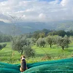 L'ape 4* Fogliano (Cascia)