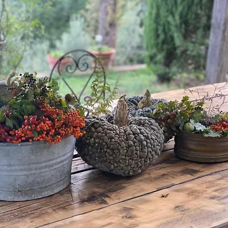 Penzion L'ape Fogliano (Cascia)