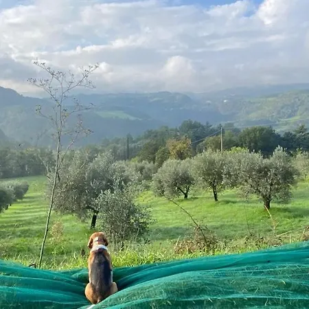 L'ape 4* Fogliano (Cascia)
